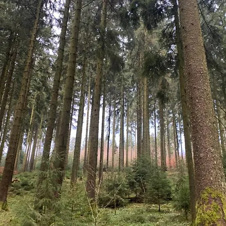 Casa Wellness Am Wald 140 Qm & Wellness Bed & Breakfast 4*