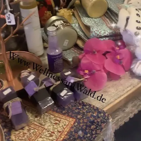 Casa Wellness Am Wald 140 Qm & Wellness 4*