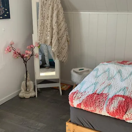 Casa Wellness Am Wald 140 Qm & Wellness ベッド・アンド・ブレックファスト Mörlenbach