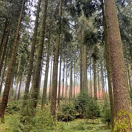 B&B Casa Wellness Am Wald 140 Qm & Wellness 4*