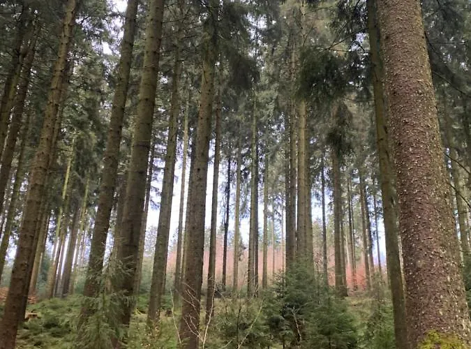 Casa Wellness Am Wald 140 Qm & Wellness فندق مبيت وإفطار 4*